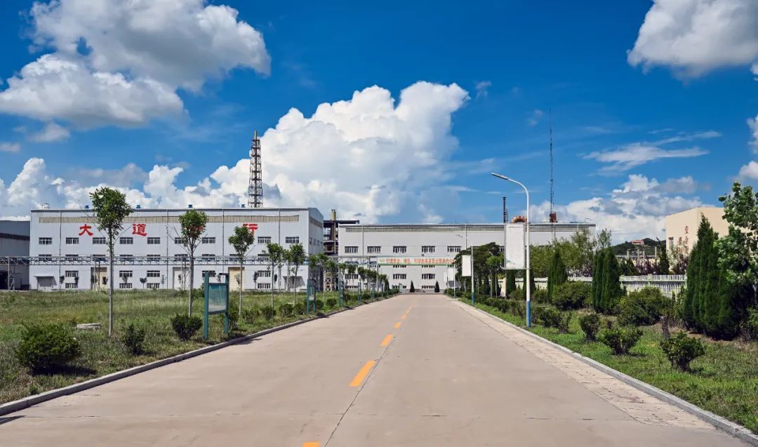 1703765397185081194.jpg 招金金合.jpg